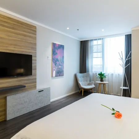 HanTing Premium Hotel (Pujiang)