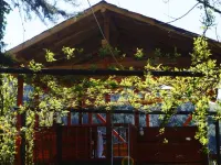 Küre Dağ Evi Ulus otelleri