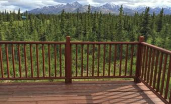 5 Star Denali Park Spacious Family Home