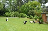 La Grange des Marettes - Bed and Breakfasts