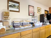 Econo Lodge, Downtown Custer Near Custer State Park and Mt Rushmore Hotels in Custer