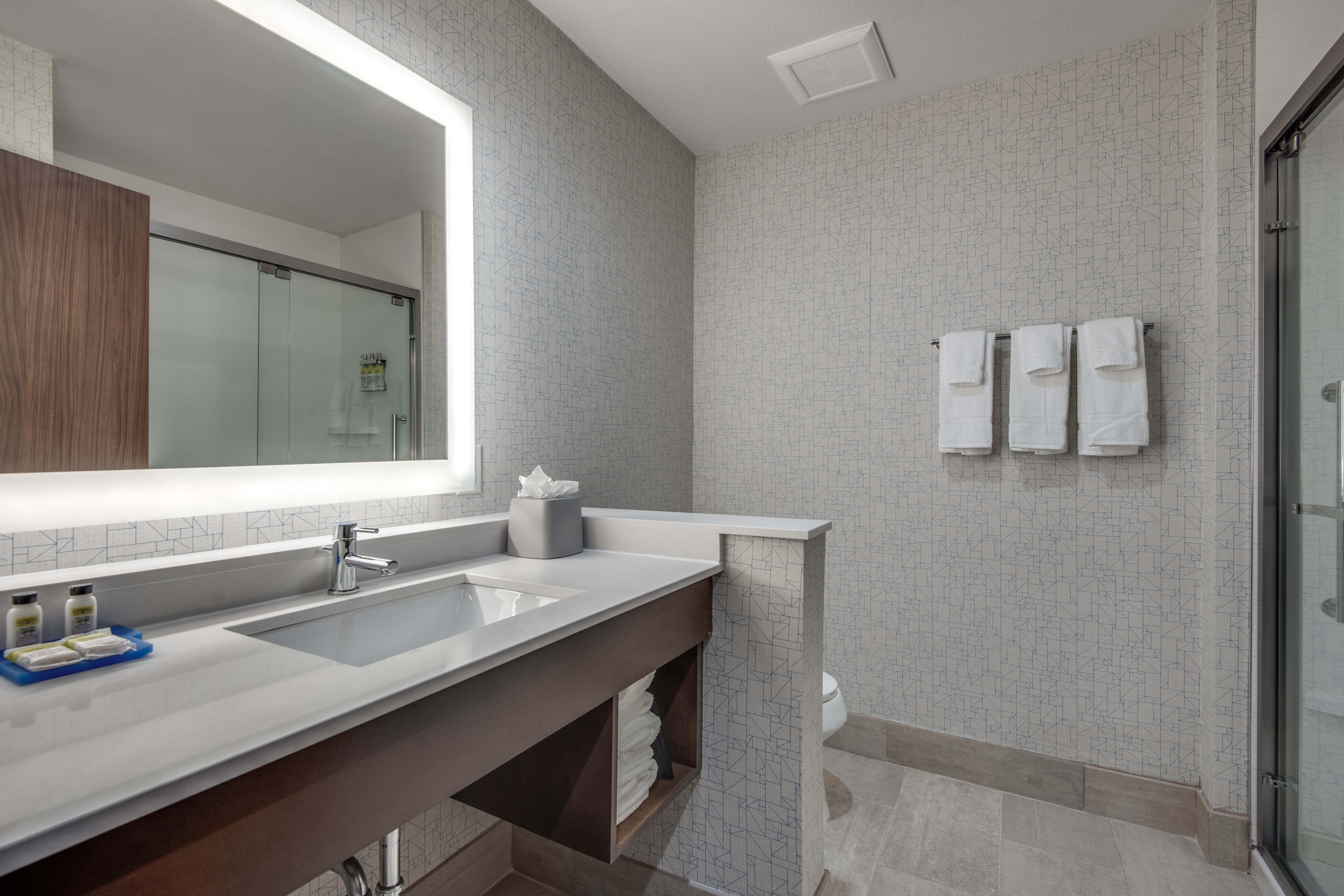 Holiday Inn Express & Suites Dallas North - Addison, an Ihg Hotel