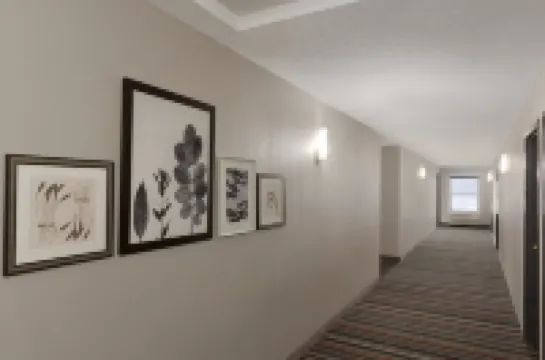 Country Inn & Suites by Radisson, Chippewa Falls, WI Hotels in Chippewa Falls