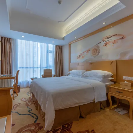 Vienna International Hotel (Yulin rongzhou bridge railway station shop )