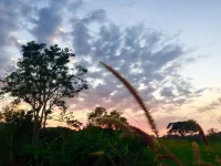 Tongta Homestay Hotels in Muak Lek