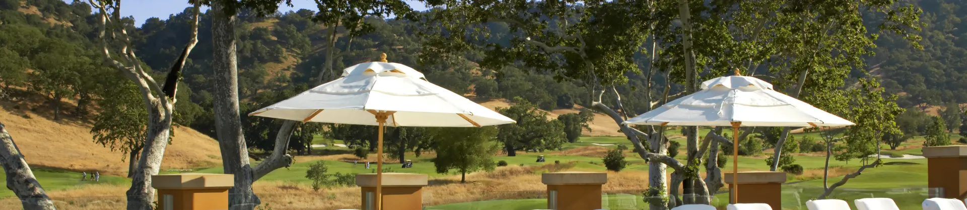 Luxury Hotels