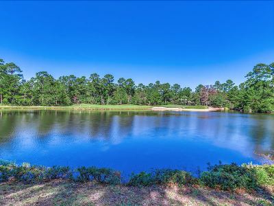 Surroundings #4B True Blue - 2 Br Condo by RedAwning Photo