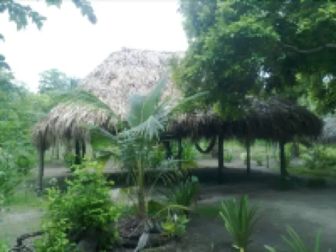 Eco Hotel Las Palmeras Hotels near Isla Barú