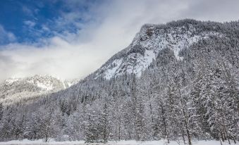 a snow - covered mountain with a group of trees and a path leading to it , surrounded by a cloudy sky at Boulder Mountain Resort