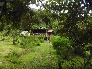 Tunky Wasi - Sapan Sachayoc - Hostel