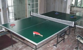 a green ping pong table is set up on a patio , with a paddle and ball nearby at Cobb Hill Estate