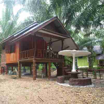 Khao Sok Palmview Resort Hotel Exterior