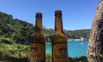 Appartement le Soleil des Flots Morgat
