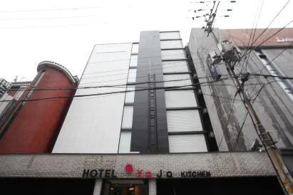 首兒雅扎酒店-新林2