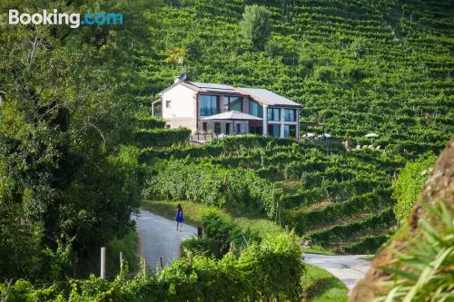 度卡必尼農莊酒店