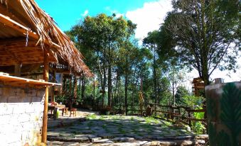 Sapa Jungle Homestay