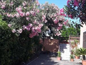 B&B Fiumicino Airport Resort