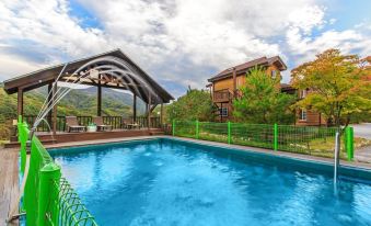 Pyeongchang Myeongji Valley Pool Villa Private Pension