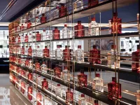 雅典機場索菲特酒店 - 酒吧