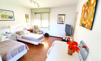 Studio in Antibes, with Shared Pool and Wifi - 3 km from The Beach