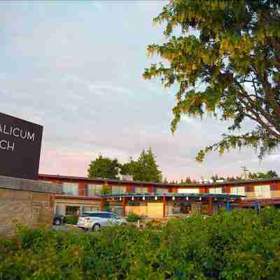 Qualicum Beach Inn Hotel Exterior