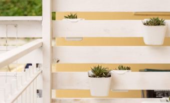 a wooden deck with a variety of potted plants , including succulents , placed on the steps at Beach House