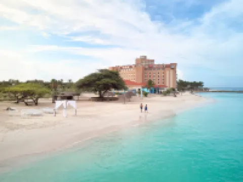 阿魯巴萬豪萬怡度假村 棕櫚灘酒店