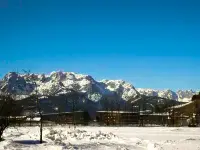 Edelweiss