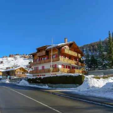 Bergfink Dachgeschoss