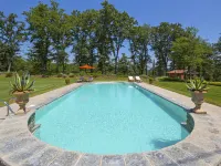 Tenuta Farneta - Pool