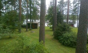 a serene scene of a house surrounded by tall pine trees and a lake in the background at Simola