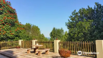 Misty Mountains Hotels in 