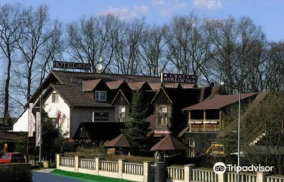 Hotel Protea Bolesławiec Hotels in Boleslawiec