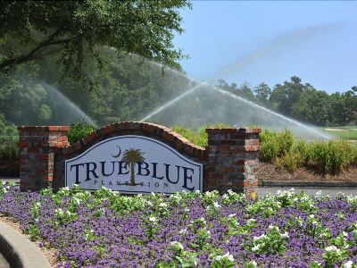 Surroundings #64C True Blue - 3 Br Home by RedAwning Photo