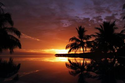 a serene sunset over the ocean with palm trees and a calm surface reflecting the clouds at Vilamendhoo Island Resort & Spa