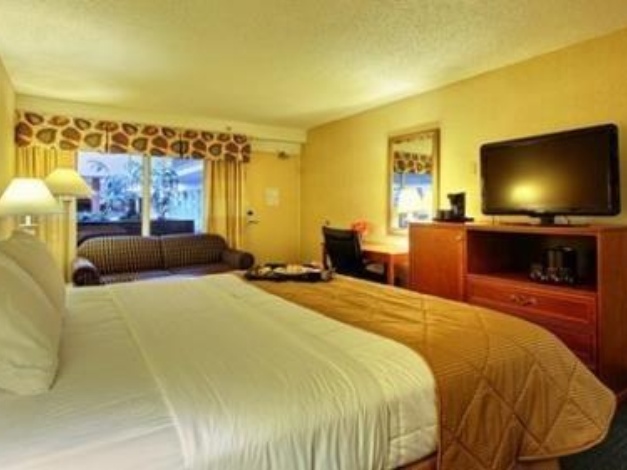 Lifestyle Inn Cedar Falls