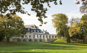 a large house with a stone facade is surrounded by trees and grass , with two geese in the foreground at Auberge du Jeu de Paume