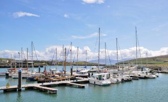 Dingle Harbour Lodge B&B