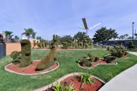 Best Western Plus Stovall's Inn