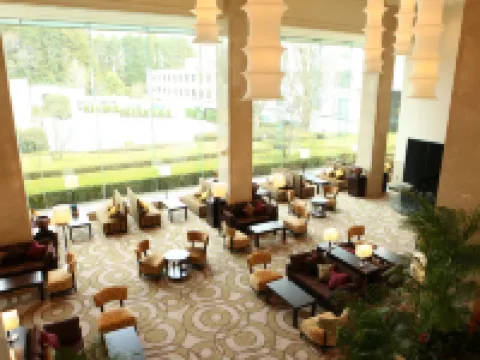 インターナショナルリゾートホテル湯楽城 千葉 富里のホテル