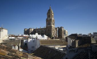 Apartamentos Gibralfaro Centro