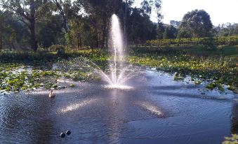 a pond with water fountains shooting up , surrounded by lush greenery and trees in the background at Wild Cattle Creek Estate