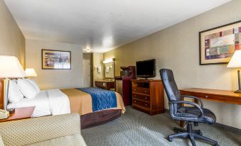 Quality Inn Near Six Flags Discovery Kingdom-Napa Valley