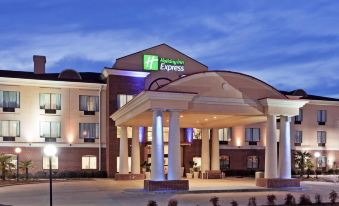 Holiday Inn Express & Suites Forest