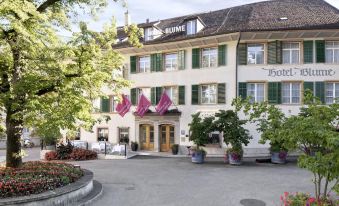 Hotel Blume - Swiss Historic Hotel