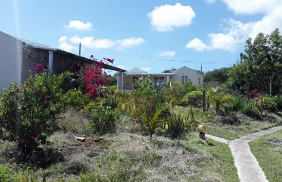 赫伯蒙夫蘇梅旅館