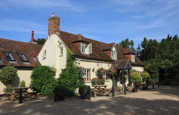 愛爾蘭黑馬旅館