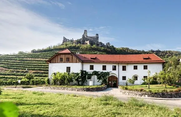 韋恩霍斯尼格爾旅館