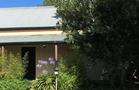 肯塔基棕櫚度假屋