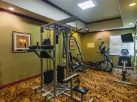 La Quinta Inn & Suites by Wyndham Lindale - Gym